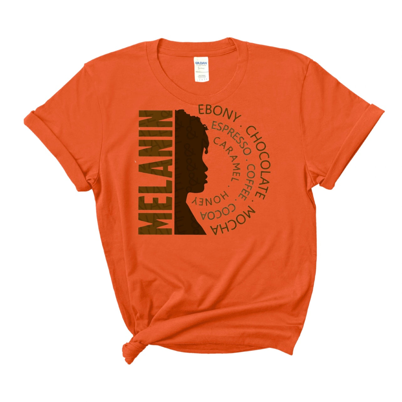 Melanin Pride T-shirt or Sweatshirt