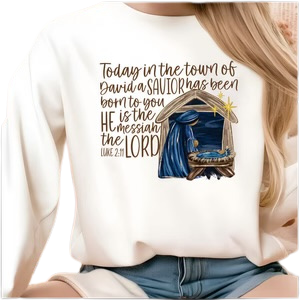 Town of David T-shirt, Long Sleeve T or Sweatshirt